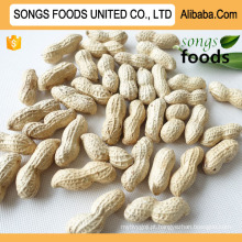 Good Peanut, Songs Foods Peanut Count 9 // 11,11 / 13